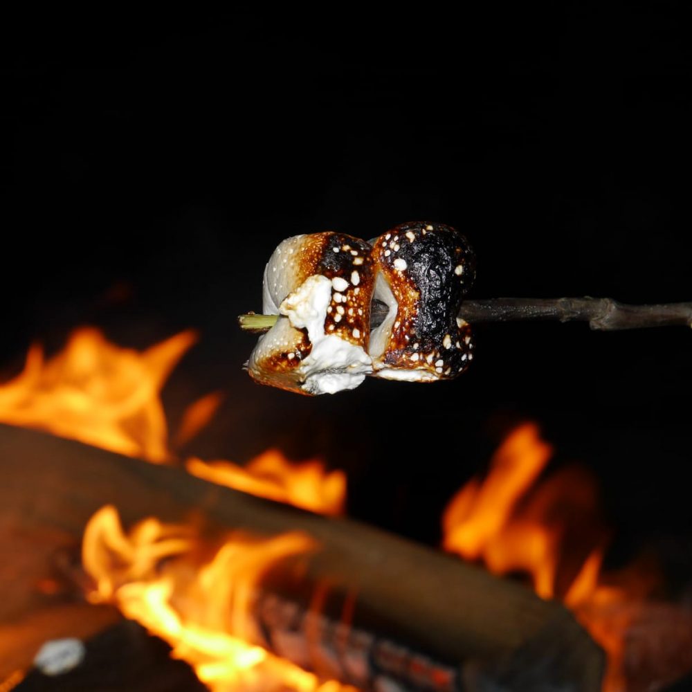 4fe93e49-419d-44a4-bab0-120689f9bf84